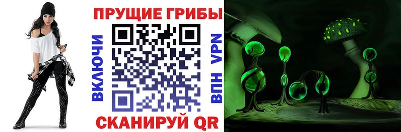 Псилоцибиновые грибы Cubensis  shop клад  Эртиль 